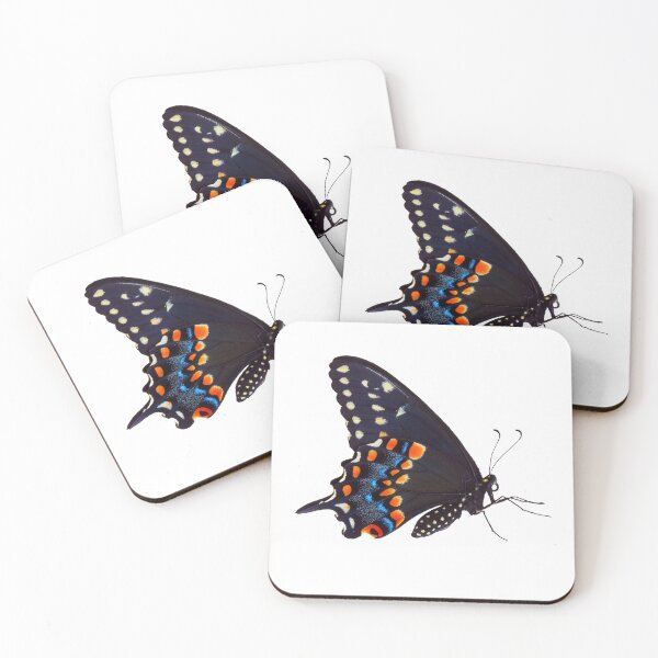 Item preview, Eastern Black Swallowtail Butterfly without background  designed and sold by JulieAnnPix.