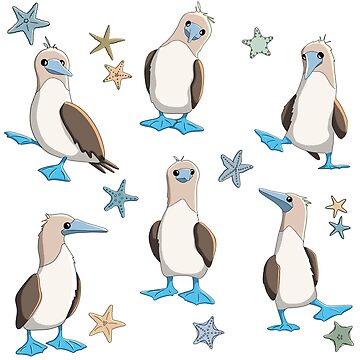 Artwork thumbnail, Blue-Footed Boobies by RhondaLuluArt