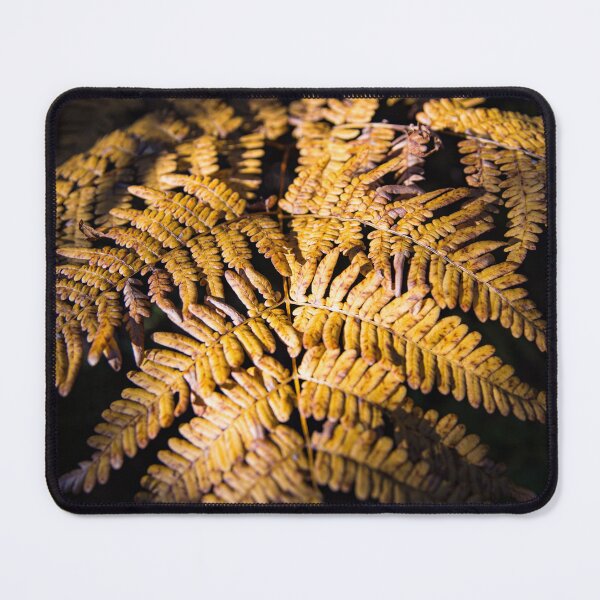 Item preview, Fern in the Light designed and sold by Daniel's Destinations.