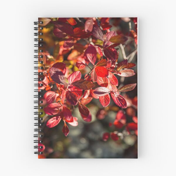 Item preview, Highbush Blueberry designed and sold by Daniel's Destinations.