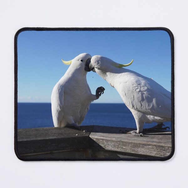 Item preview, Kissing Birds designed and sold by Annalucia.
