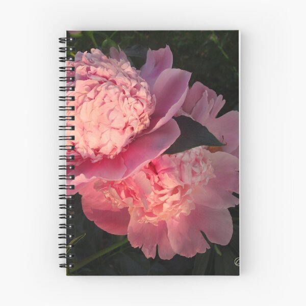 Item preview, Dusk pinks designed and sold by MarianBendeth.