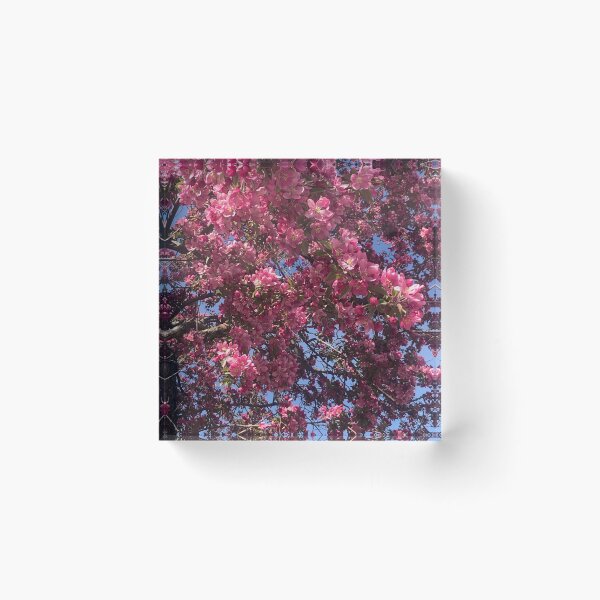 Item preview, Mayy blooms designed and sold by MarianBendeth.