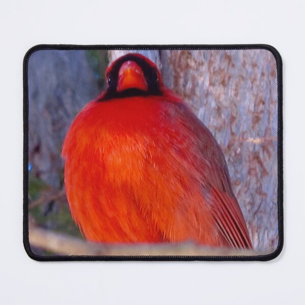 Item preview, Northern Cardinal designed and sold by MarianBendeth.