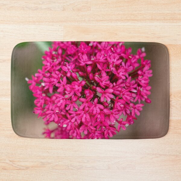 Item preview, Alluring designed and sold by Jacquiamber.