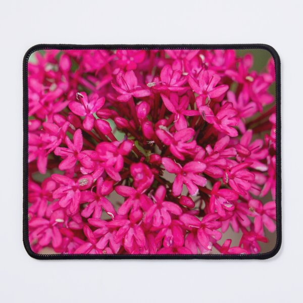 Item preview, Alluring designed and sold by Jacquiamber.