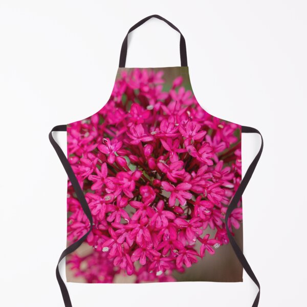 Item preview, Alluring designed and sold by Jacquiamber.