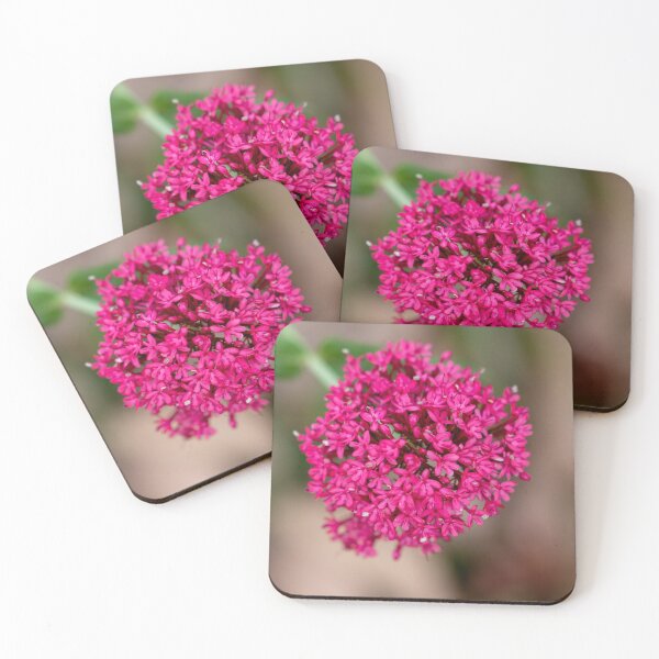 Item preview, Alluring designed and sold by Jacquiamber.