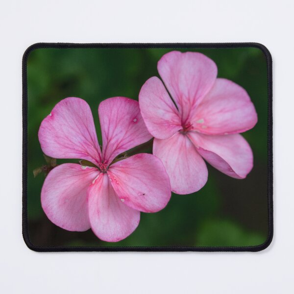 Item preview, Understated designed and sold by Jacquiamber.