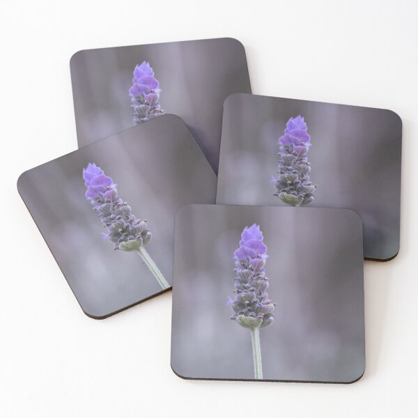 Item preview, Solitary designed and sold by Jacquiamber.