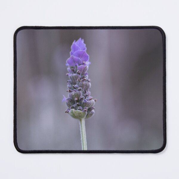 Item preview, Solitary designed and sold by Jacquiamber.