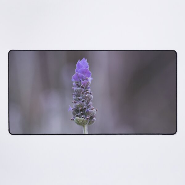 Item preview, Solitary designed and sold by Jacquiamber.