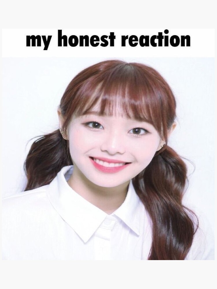 My Honest Reaction My Honest Reaction Meme Sticker - My honest