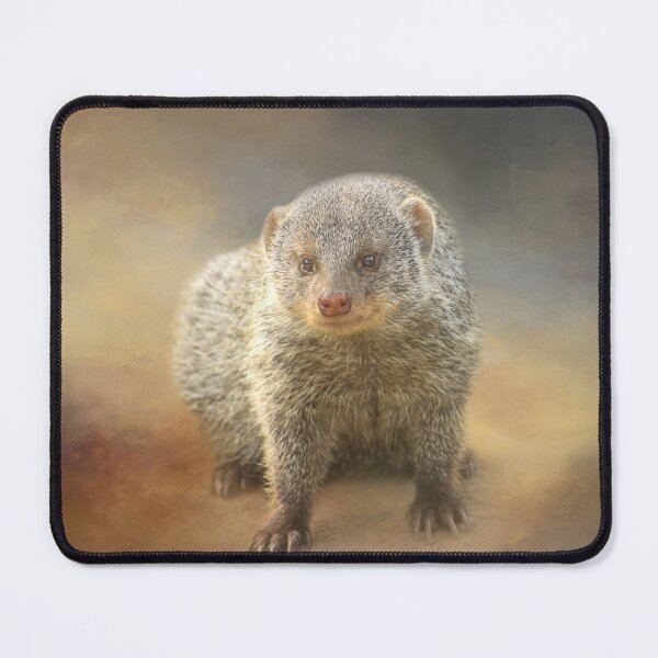 Item preview, Mongoose 01  designed and sold by Elisabeth Lucas.