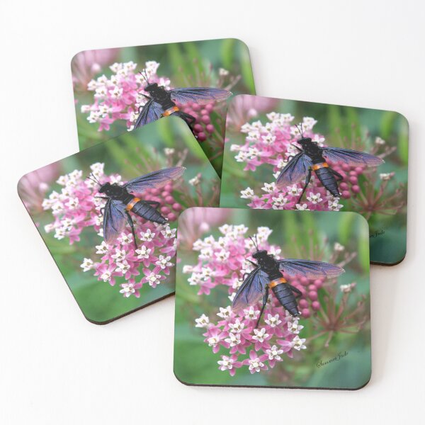 Item preview, Something with Wings designed and sold by SummerJade.