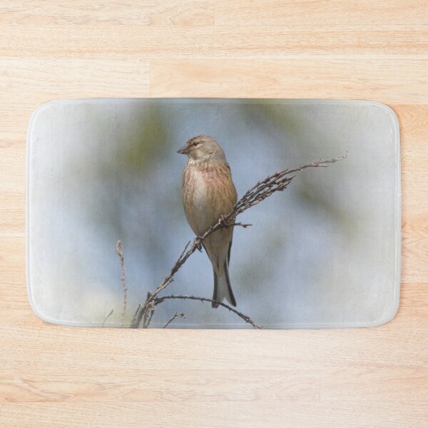 Item preview, Common linnet designed and sold by Guardi71.