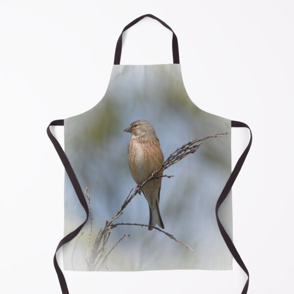 Item preview, Common linnet designed and sold by Guardi71.