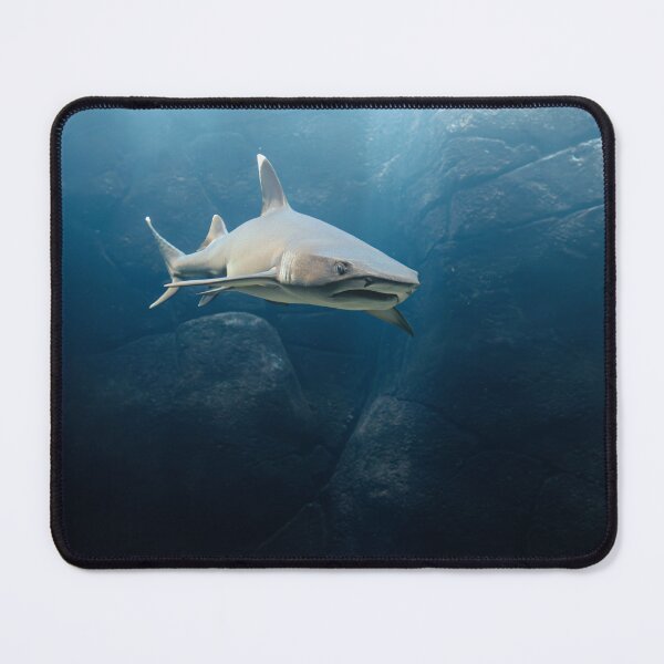 Item preview, Whitetip Reef Shark designed and sold by Alex Preiss.