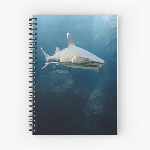 Item preview, Whitetip Reef Shark designed and sold by Alex Preiss.