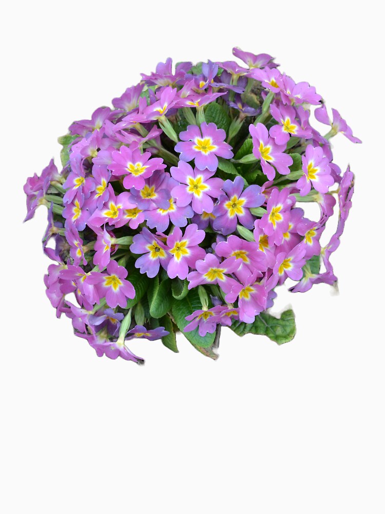 Thumbnail 7 of 7, Classic T-Shirt, For primrose lovers designed and sold by starchim01.