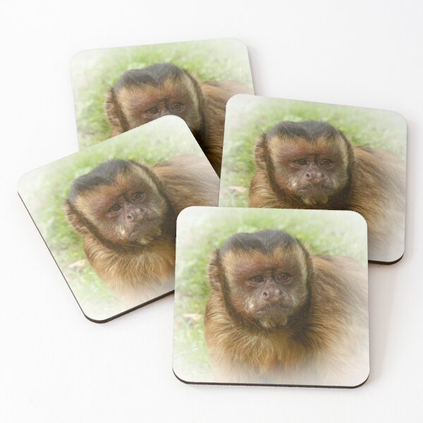 Item preview, Tufted capuchin designed and sold by Guardi71.