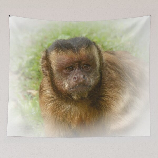 Item preview, Tufted capuchin designed and sold by Guardi71.