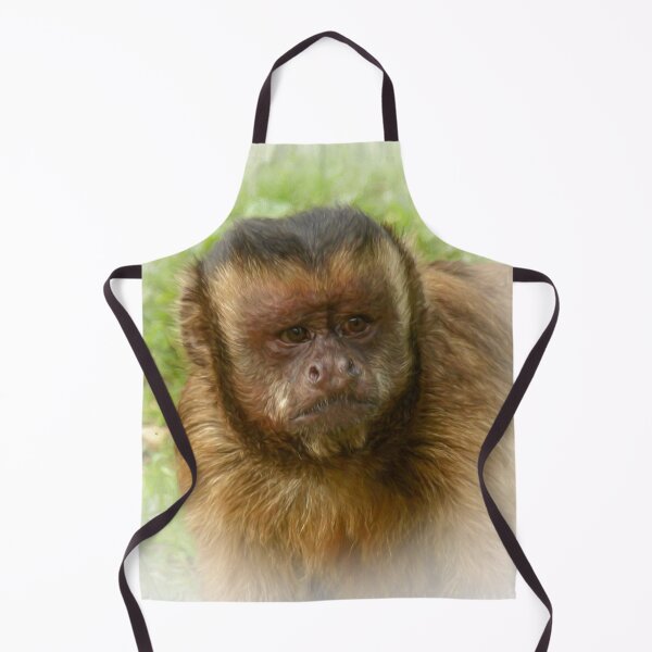 Item preview, Tufted capuchin designed and sold by Guardi71.