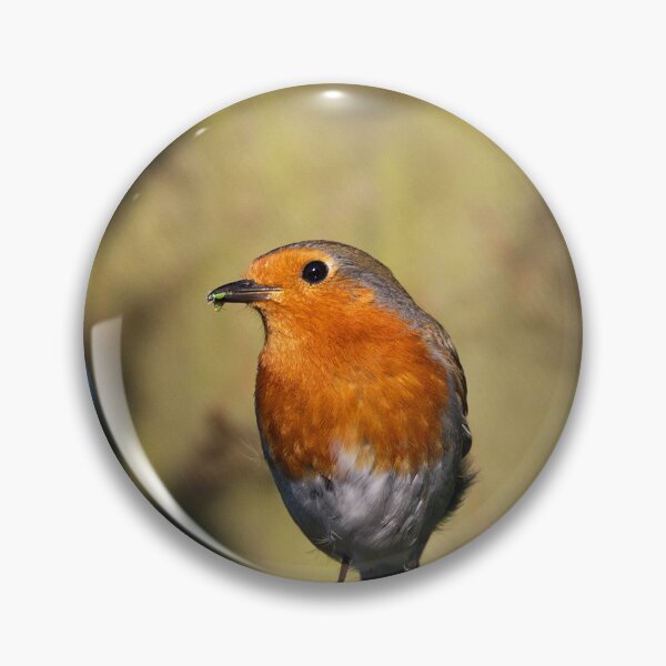 Item preview, Robin designed and sold by days-photographic.