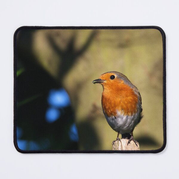 Item preview, Robin designed and sold by days-photographic.