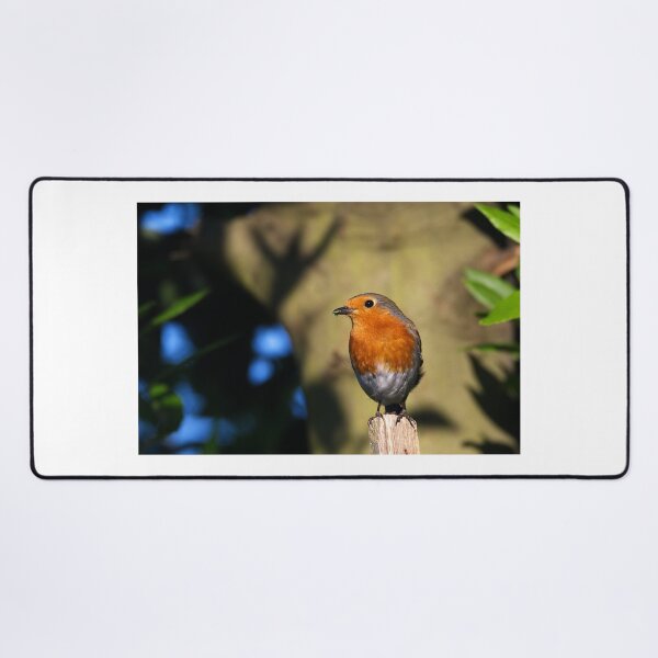 Item preview, Robin designed and sold by days-photographic.
