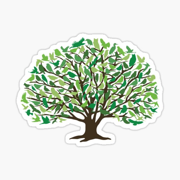 Oak Woodland Birds Summer Green Tree Art Sticker