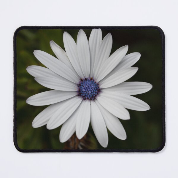 Item preview, Subtle Elegance designed and sold by Jacquiamber.