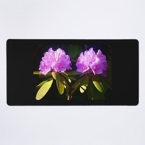 Item preview, Rhododendron designed and sold by angel1.