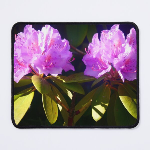 Item preview, Rhododendron designed and sold by angel1.