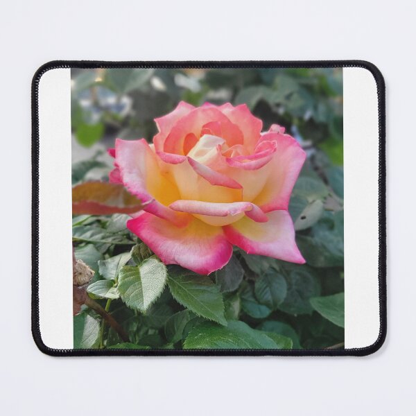 Item preview, Rose blooms designed and sold by ArztNacht.