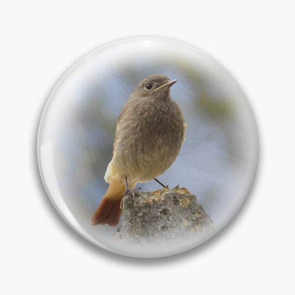 Item preview, Black redstart designed and sold by Guardi71.