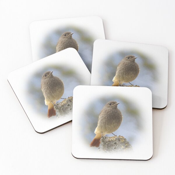 Item preview, Black redstart designed and sold by Guardi71.