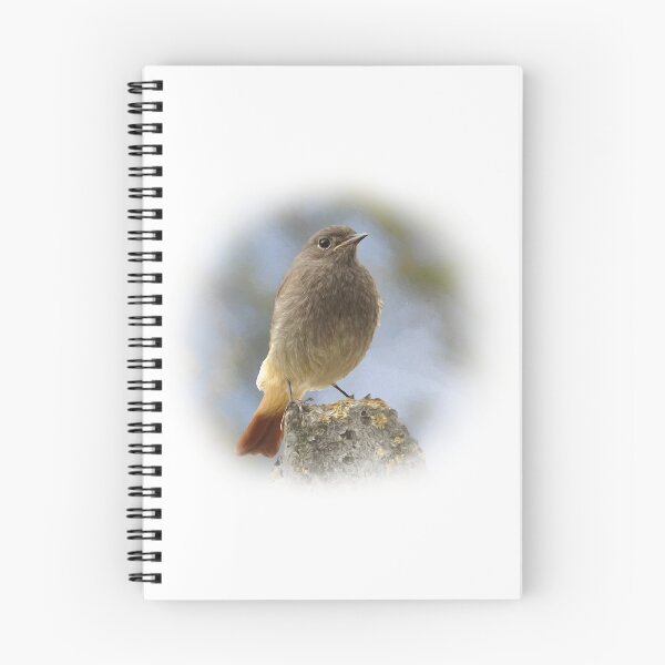 Item preview, Black redstart designed and sold by Guardi71.