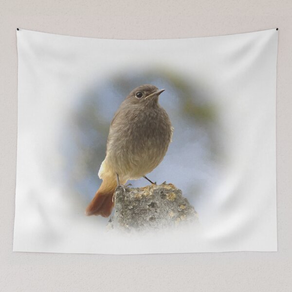 Item preview, Black redstart designed and sold by Guardi71.