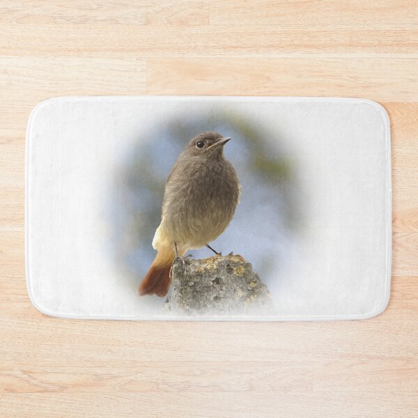 Item preview, Black redstart designed and sold by Guardi71.
