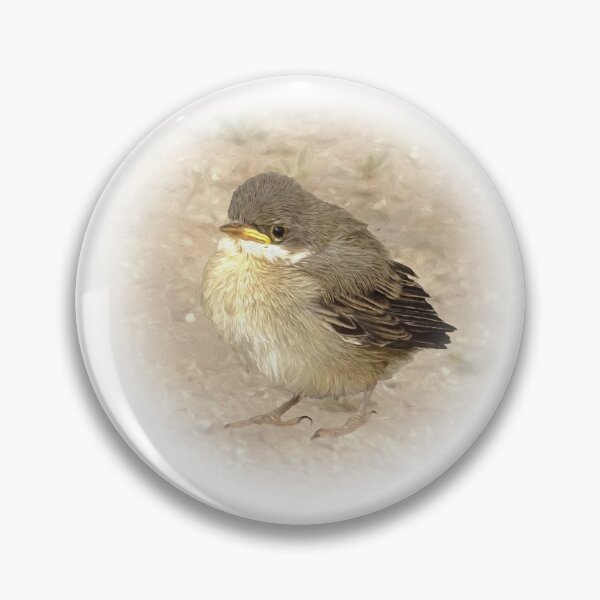 Item preview, Little blackcap designed and sold by Guardi71.