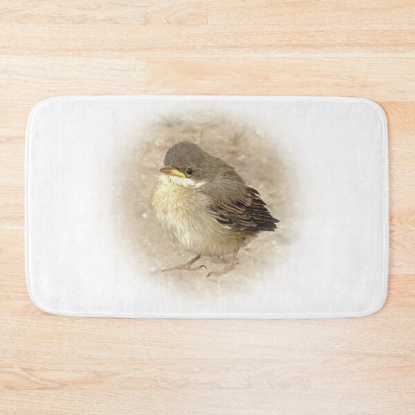Item preview, Little blackcap designed and sold by Guardi71.