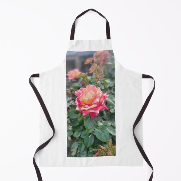 Item preview, Pink and orange rose bloom designed and sold by ArztNacht.
