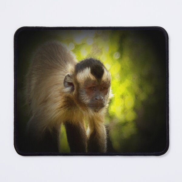Item preview, Tufted capuchin designed and sold by Guardi71.