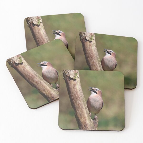 Item preview, Eurasian Jay designed and sold by GreyFeatherPhot.