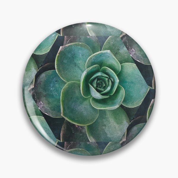 Item preview, Succulent Plant Lover Pattern designed and sold by theWeppen.