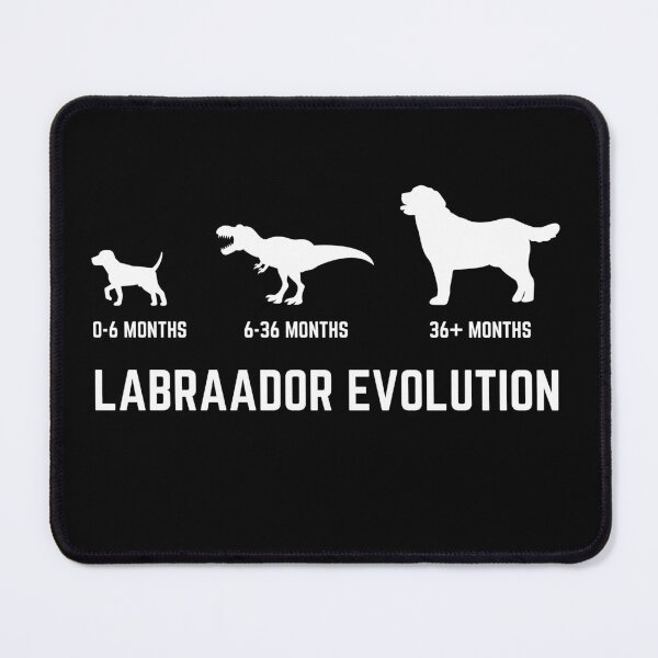 Item preview, For Labrador Retriever Owners - Labrador Evolution designed and sold by Quicker-Shop.
