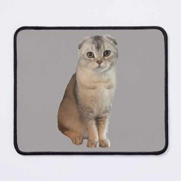 Item preview, Scottish Fold Stickers and Apparel designed and sold by SK-Apparel.