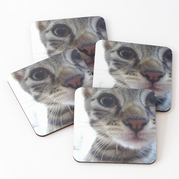 Item preview, The young cat - 1 designed and sold by walterfest.