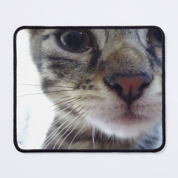 Item preview, The young cat - 1 designed and sold by walterfest.